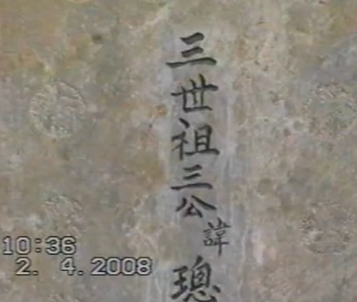 2008Ƶ